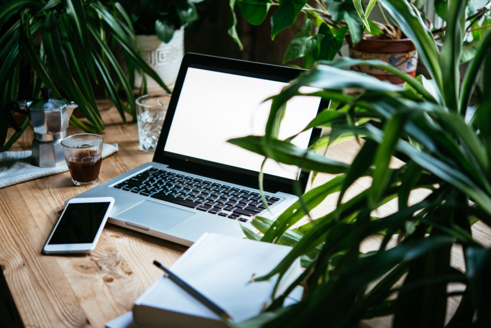 A laptop on a wooden desk surrounded by plants and work materials.